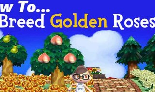 How To Get Gold Roses Acnh (VIDEO)