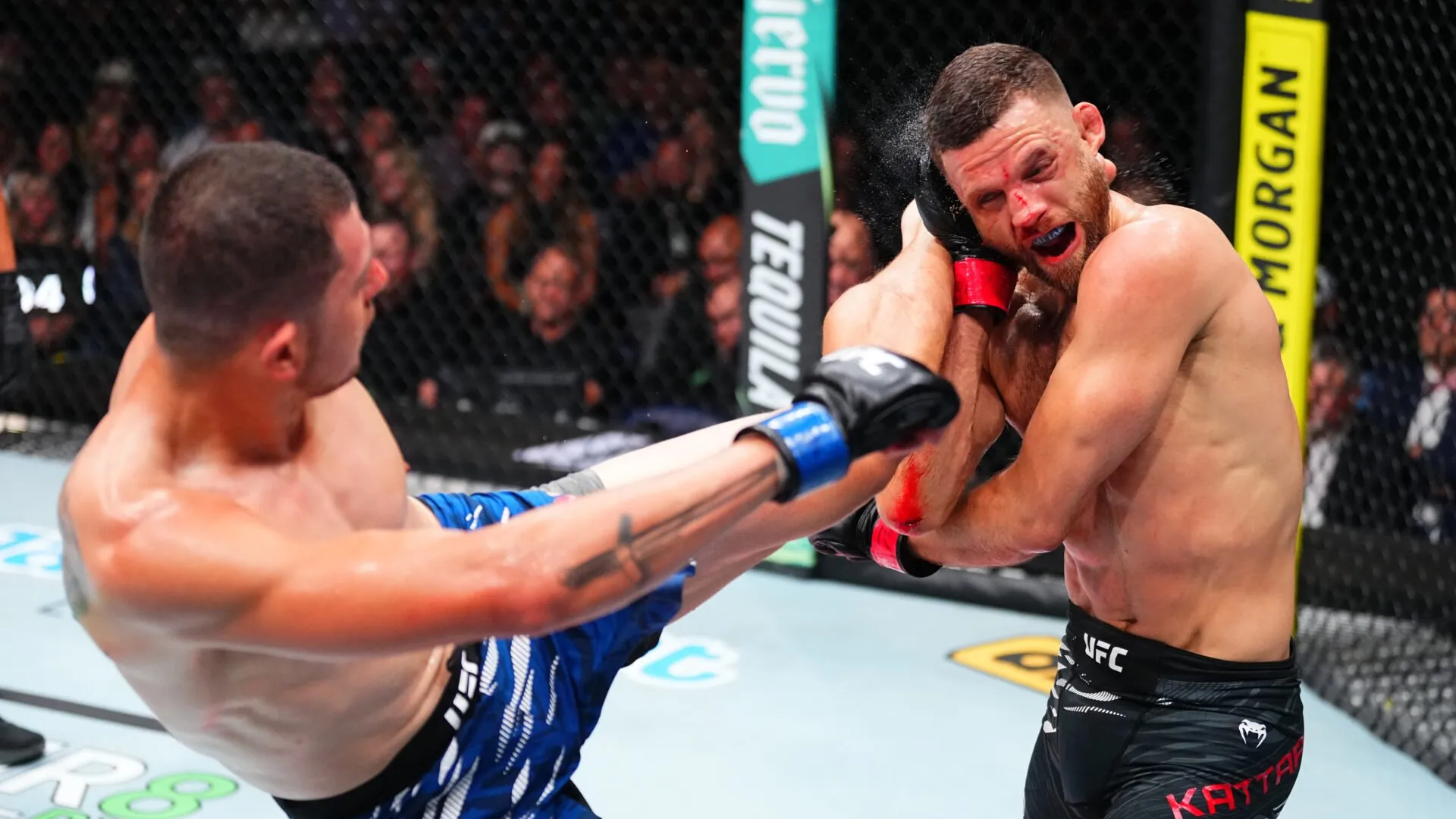 Artis KO Beri Calvin Kattar Kekalahan Kelima Beruntun di UFC Nashville, Akhiri Tren Buruk